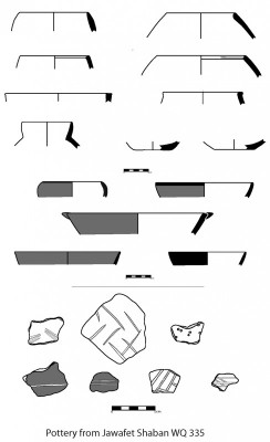 Figure 3. Pottery from Jawafat Shaban (WQ335) with distinctive Wadi Rabah decorative and surface treatments.